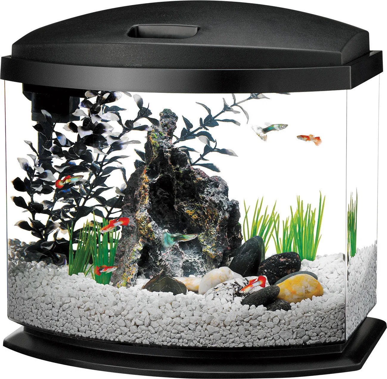 Aqueon Products - Glass - Aqueon Led Minibow Aquarium Kit