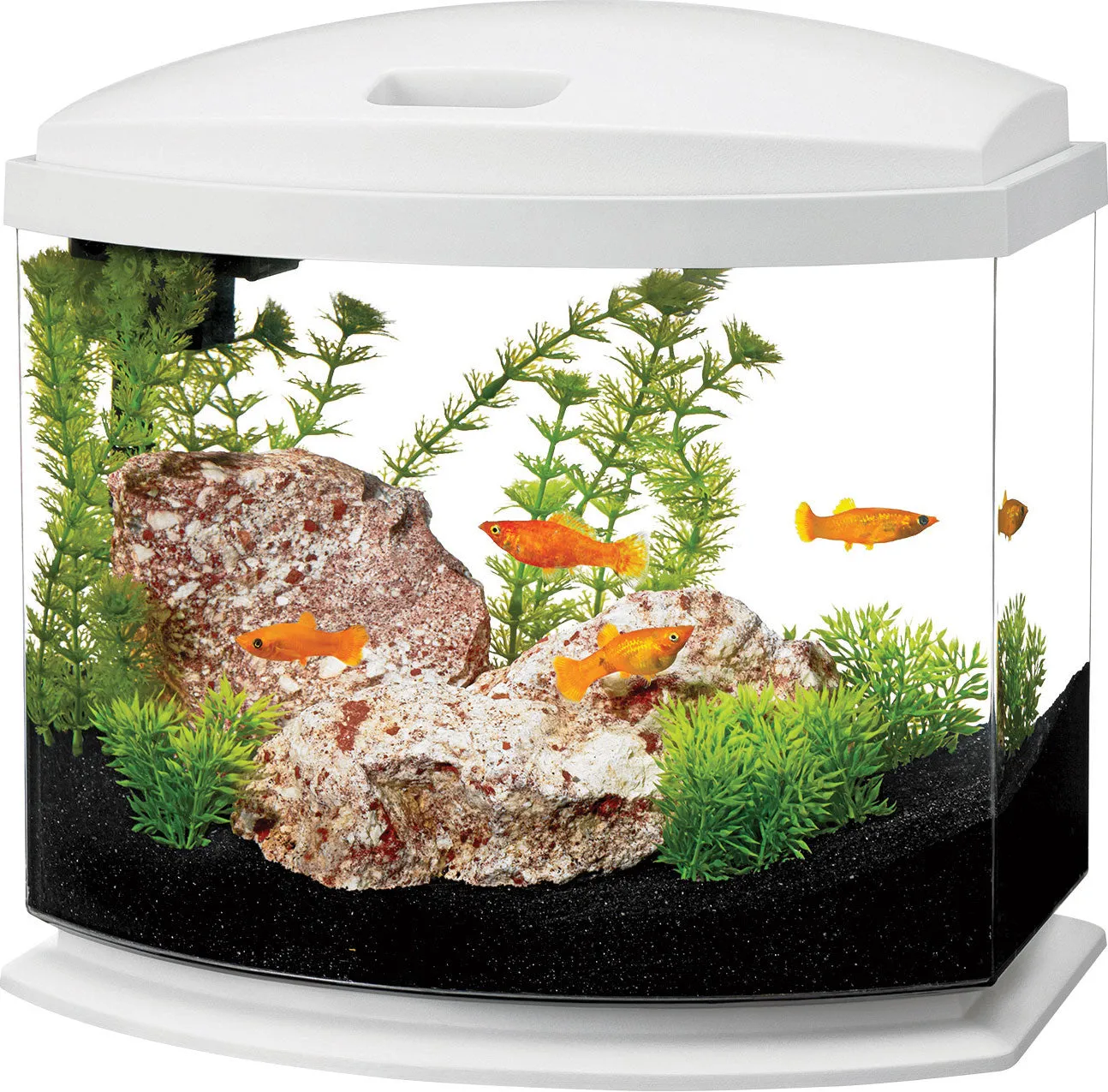 Aqueon Products - Glass - Aqueon Led Minibow Aquarium Kit