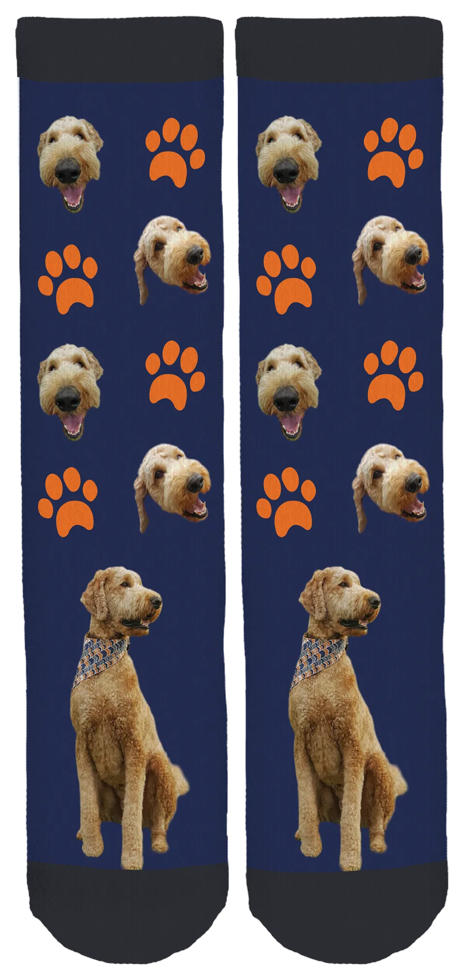 Baxter the Golden Doodle Crew Socks