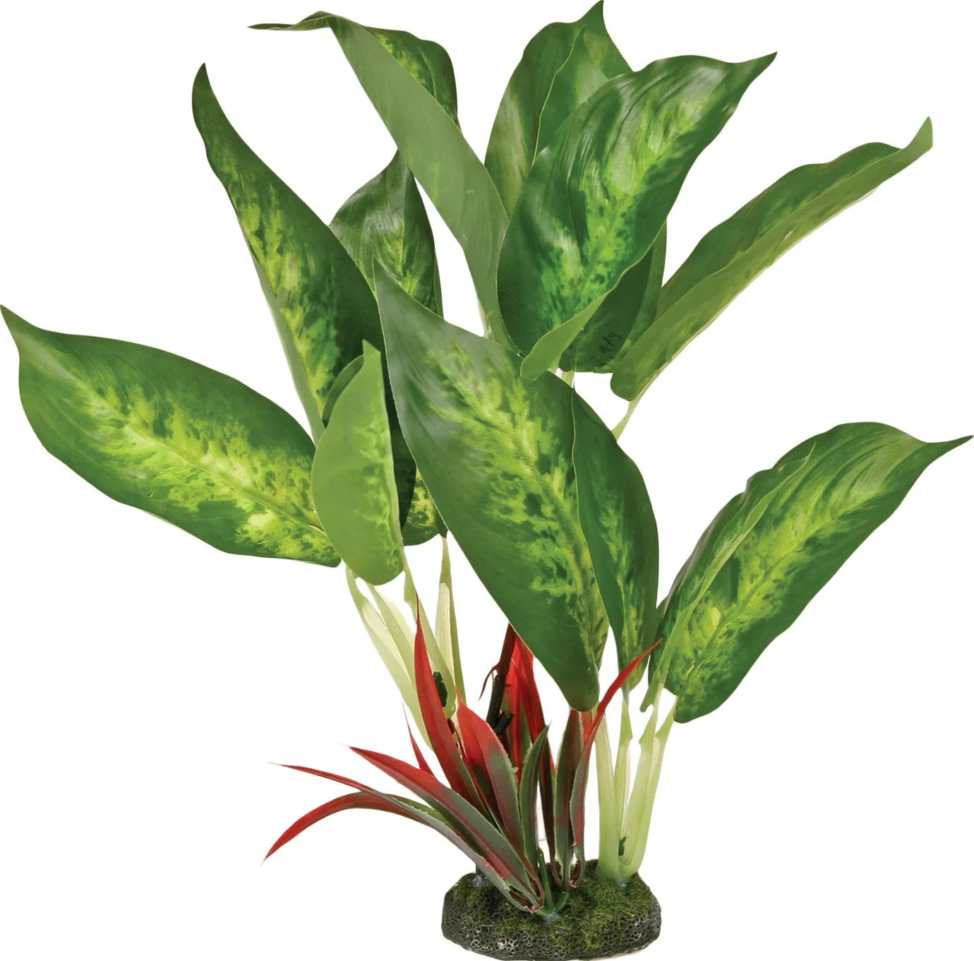 Blue Ribbon Pet Products - Colorburst Florals Dieffenbachia Variegated Leaf