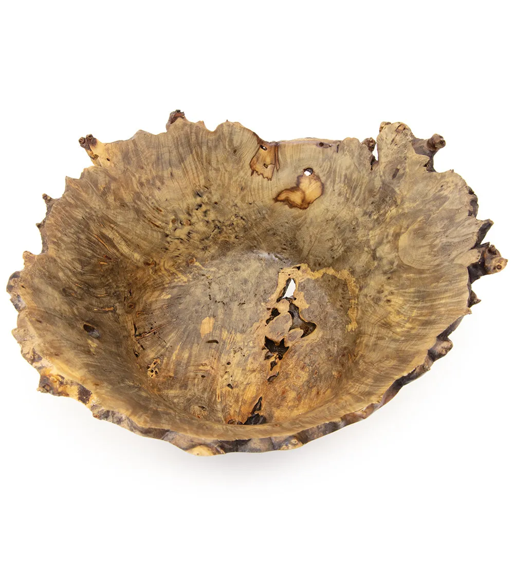 Buckeye Natural Edge Bowl with Flared Rim and Voids #32248C