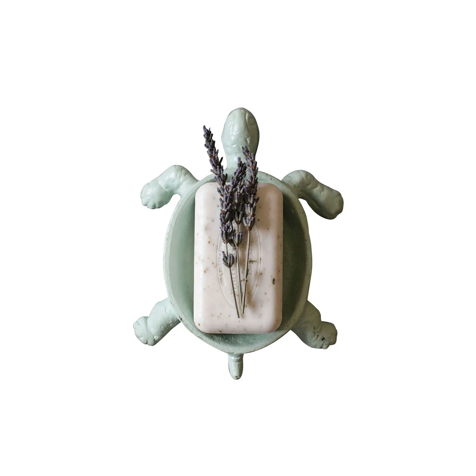 Cast Iron Turtle Soap Dish in Aqua