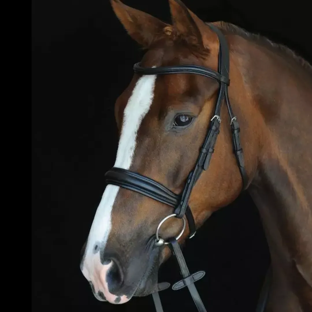 Collegiate Mono Crown Padded Raised Cavesson Bridle