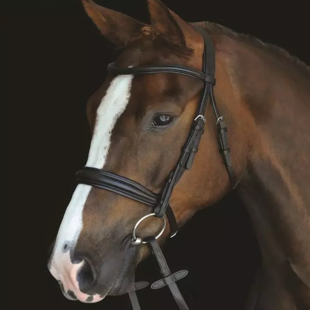 Collegiate Mono Crown Padded Raised Cavesson Bridle