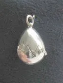 Kiwi in Egg Moving Sterling Silver Pendant or Charm