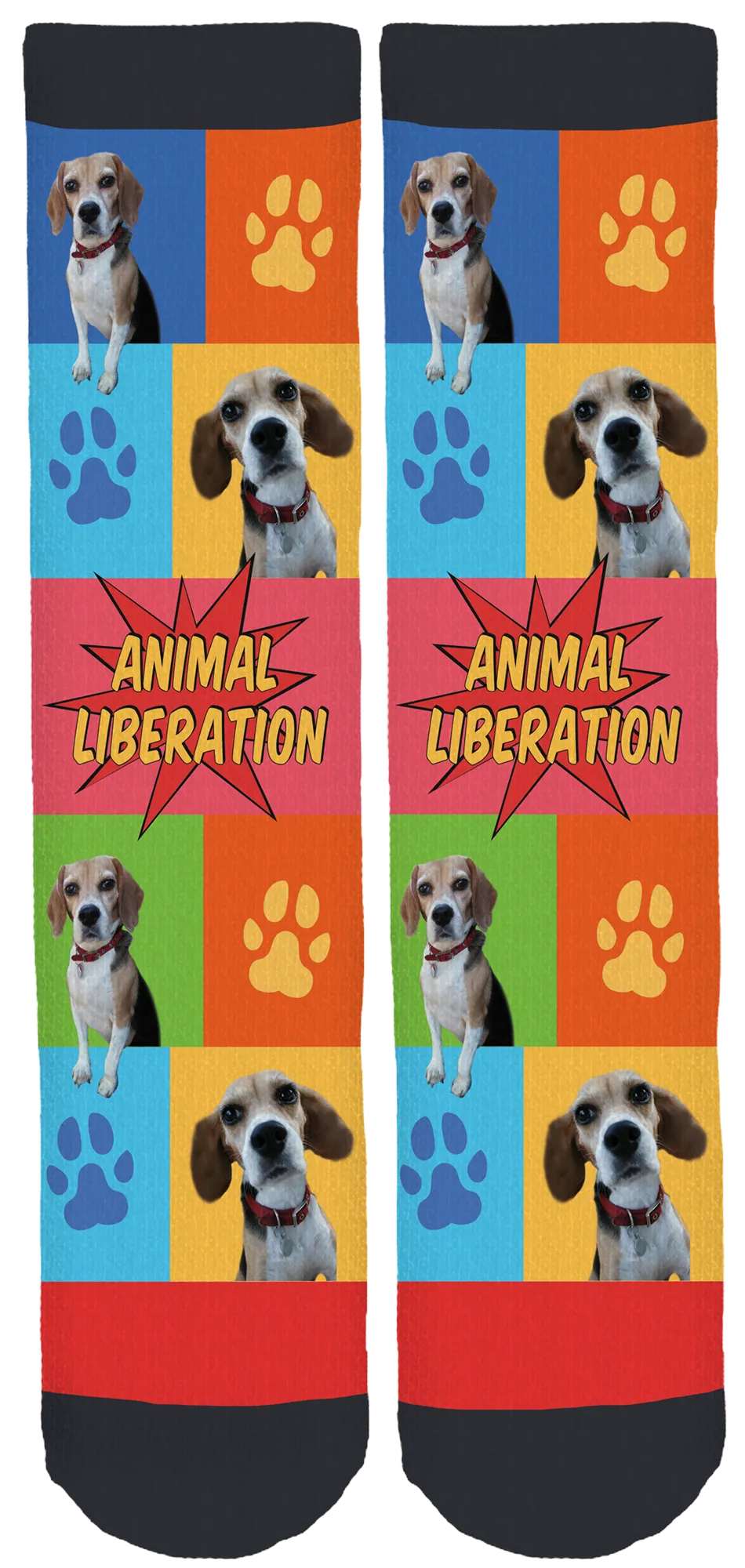 Limited Edition Beagle Freedom Crew Socks