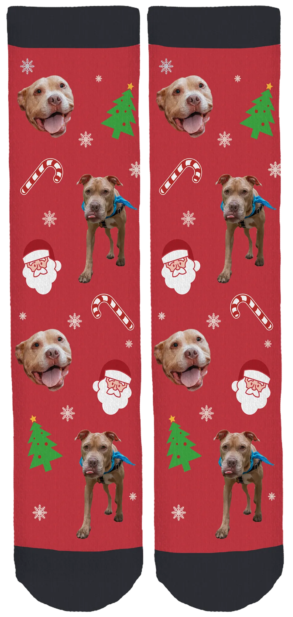 Live Like Roo Holiday Socks