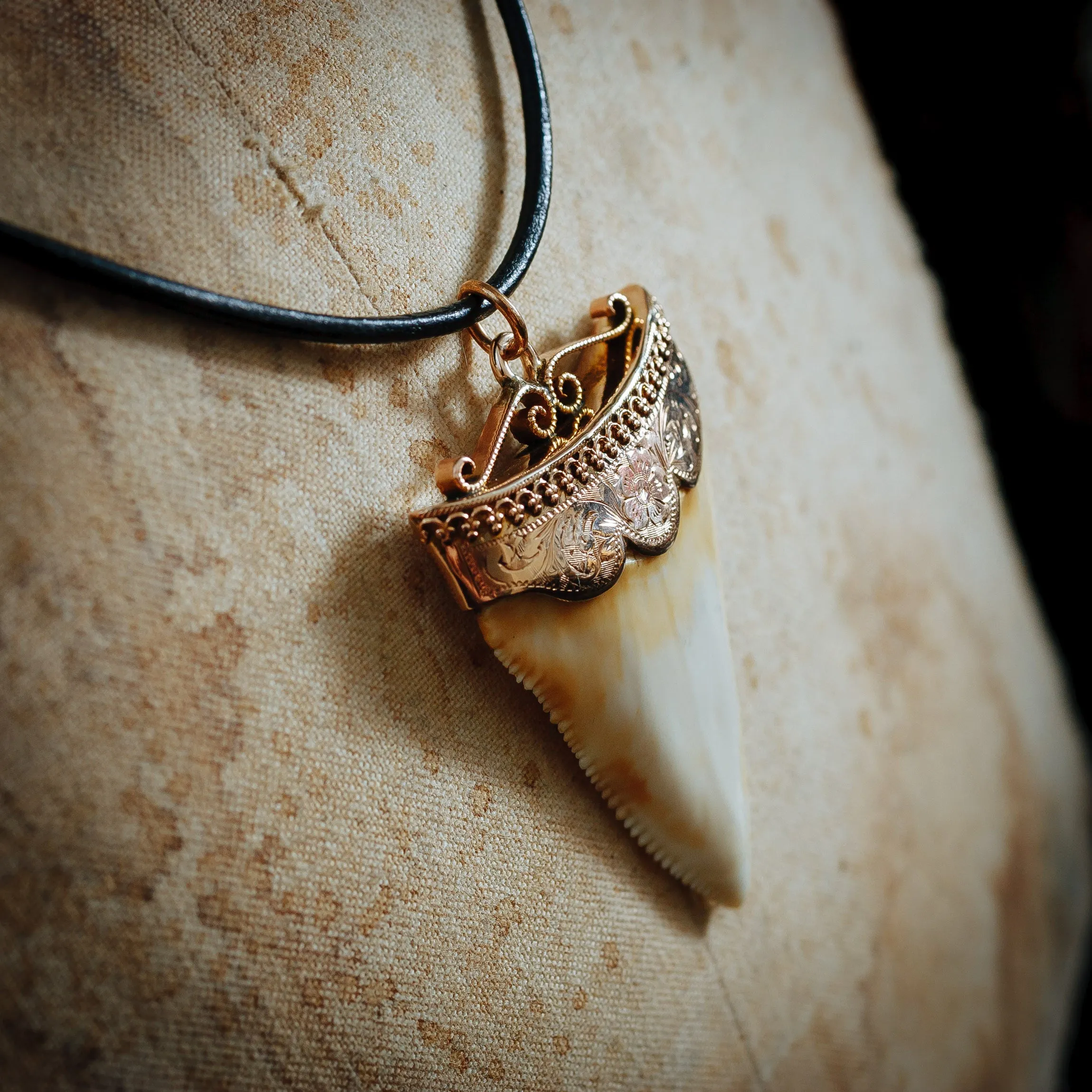 Majestic Antique 15ct Gold Mounted Great White Shark's Tooth Pendant