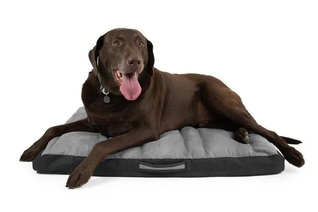 Ruffwear Restcycle Dog Bed