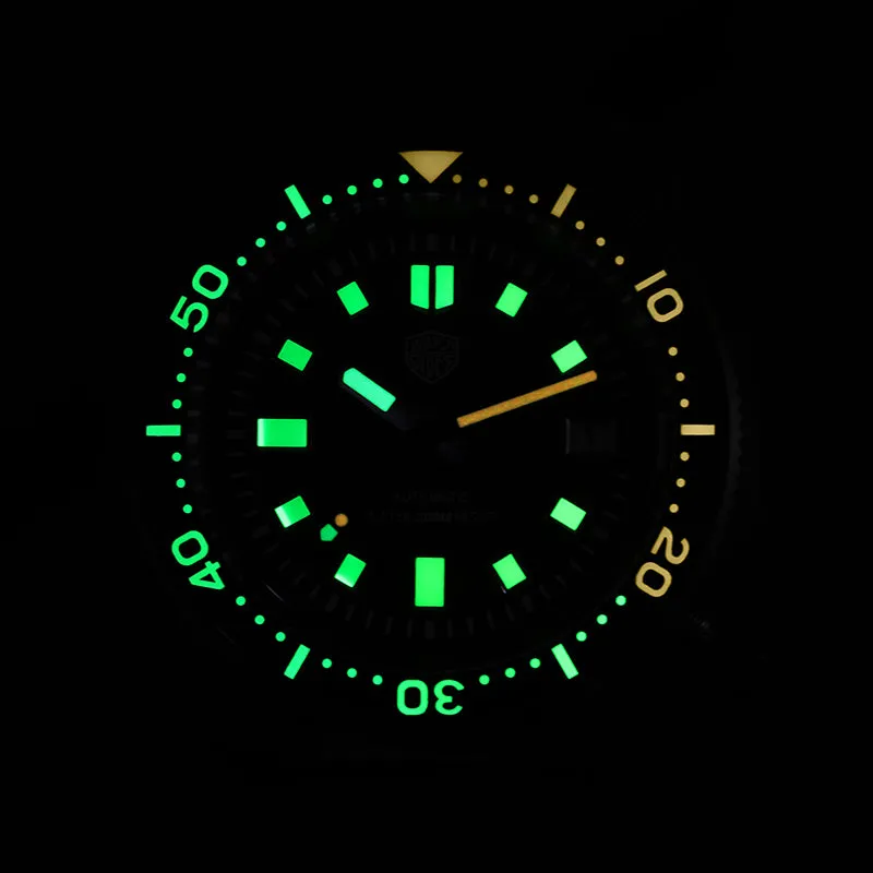 Watchdives PVD WD6105 Turtle Diver Watch